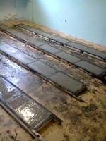 /album/komuves-ferko/nokia-foto0301-jpg/